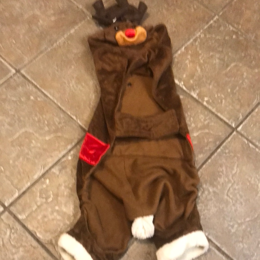 XL reindeer outfit
